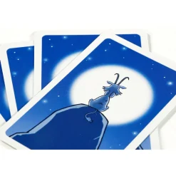 999 Games  Bokken Schieten kaartspel