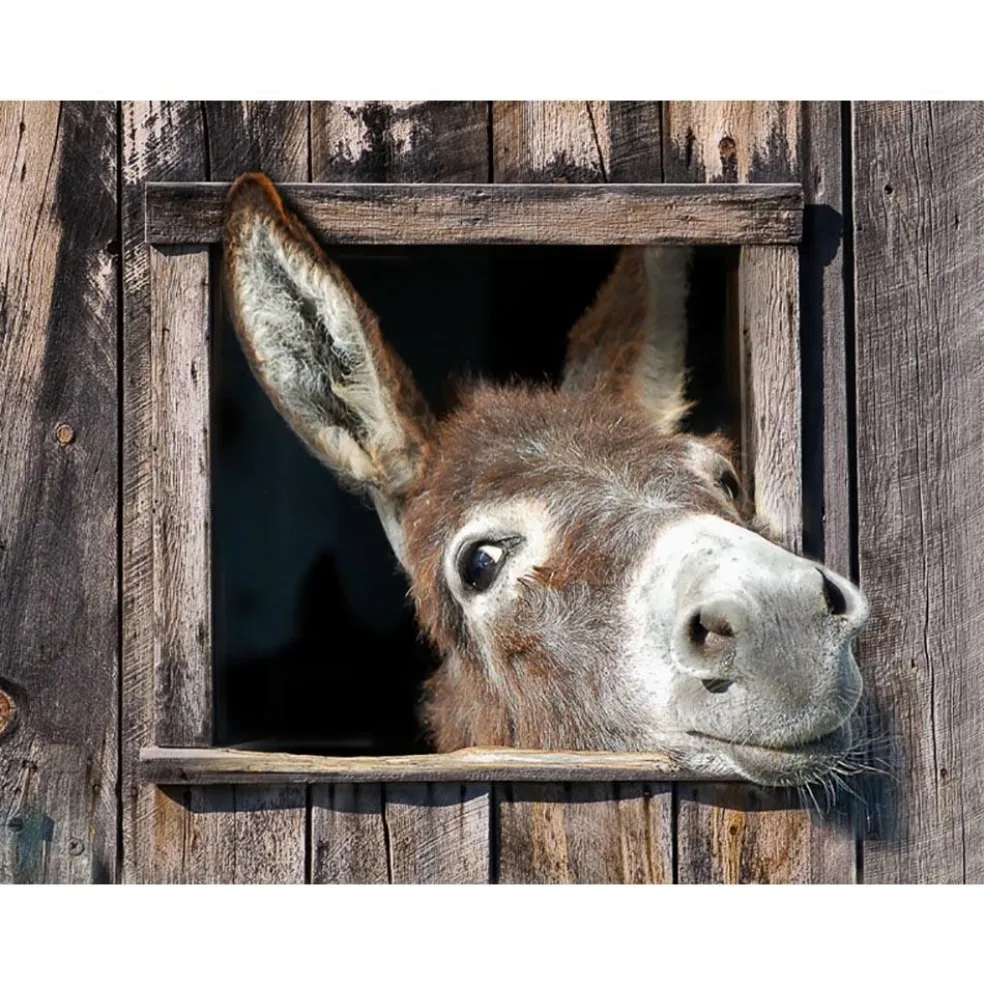 All Seasons Posters ezel 80 x 60 tuinposter