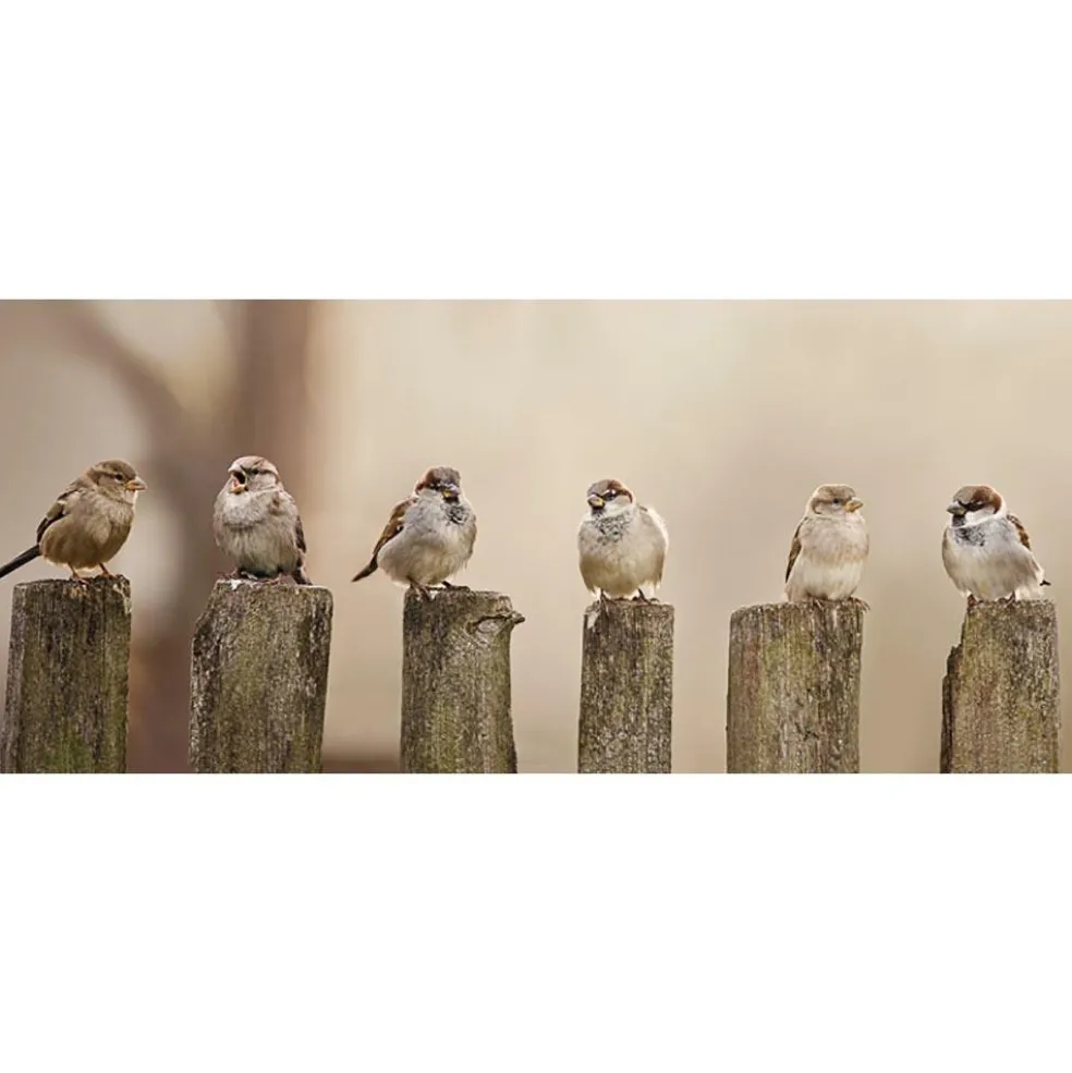 All Seasons Posters musjes 110 x 45 tuinposter