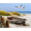 All Seasons Posters  strand met boot 80 x 60 tuinposter