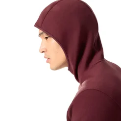 Arc'teryx Kyanite Pullover hoodie heren mars