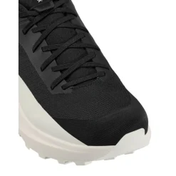 Arc'teryx Norvan LD 4 wandelschoenen heren black arctic silk
