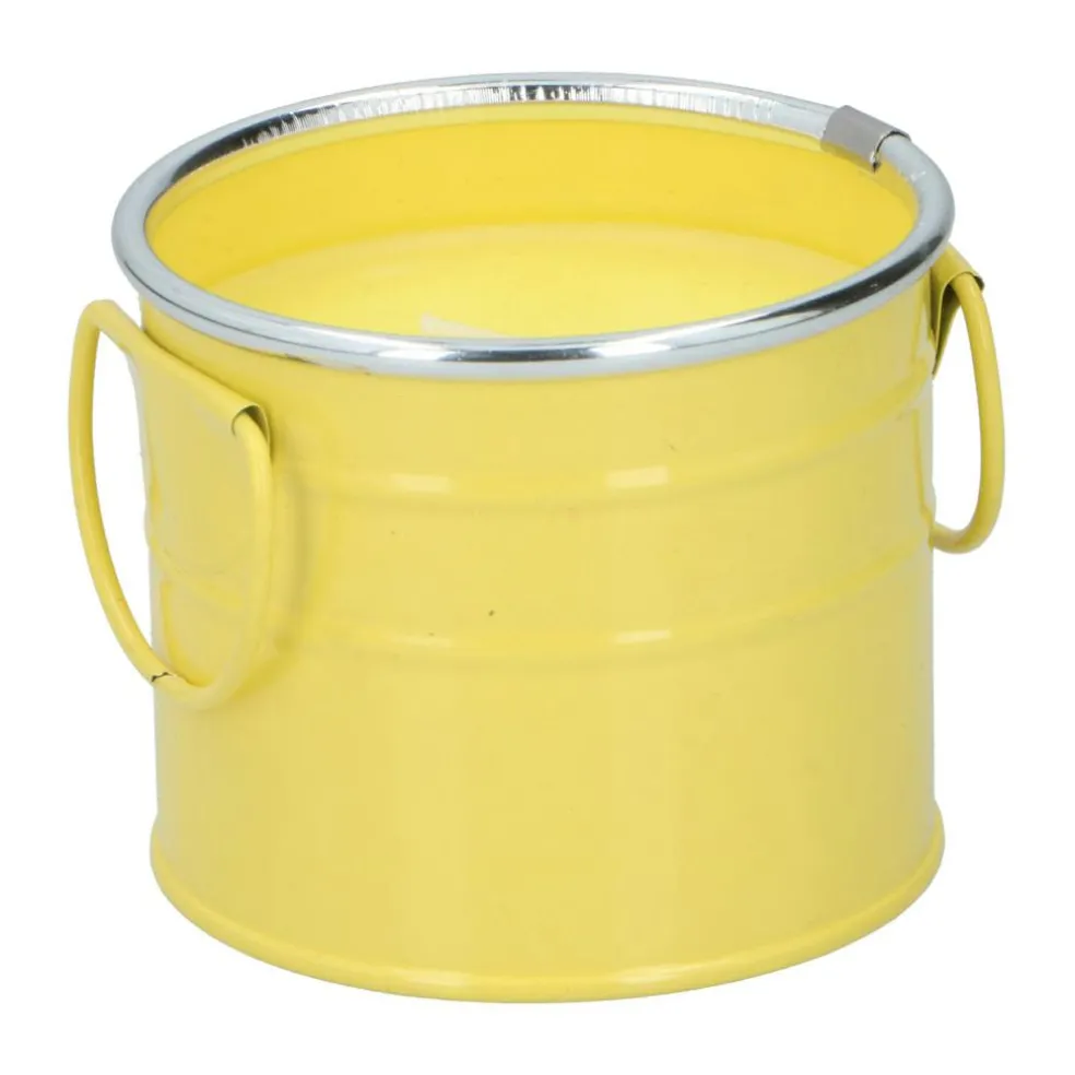 Arti Casa Citronella Emmer kaars assorti