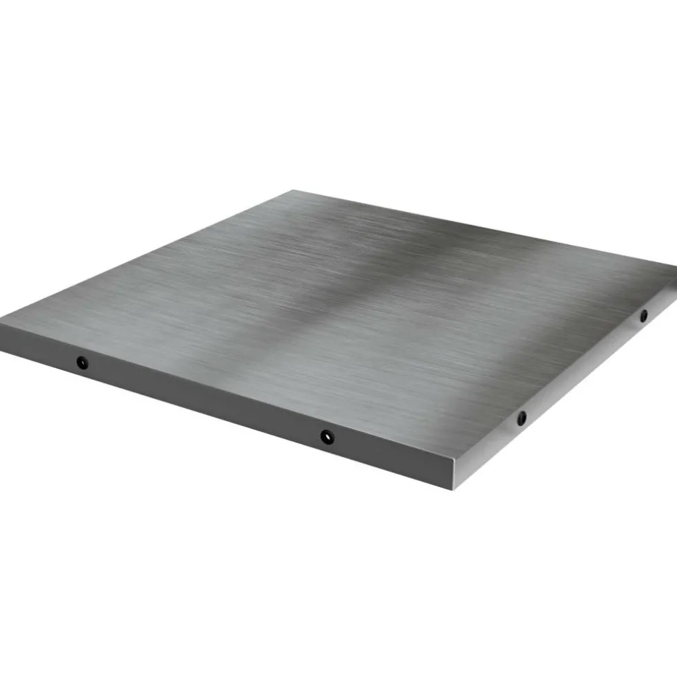 Big Green Egg Insert RVS