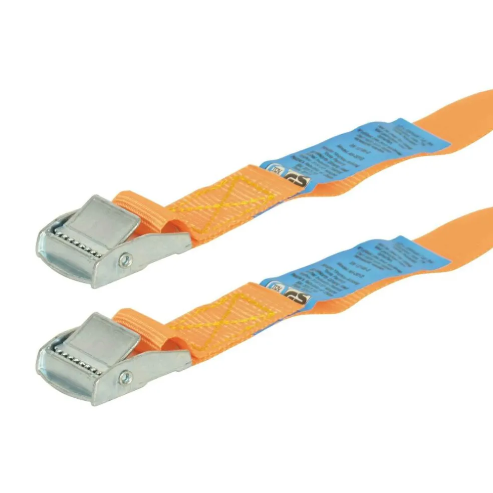 Carpoint Spanbanden 2,5 meter