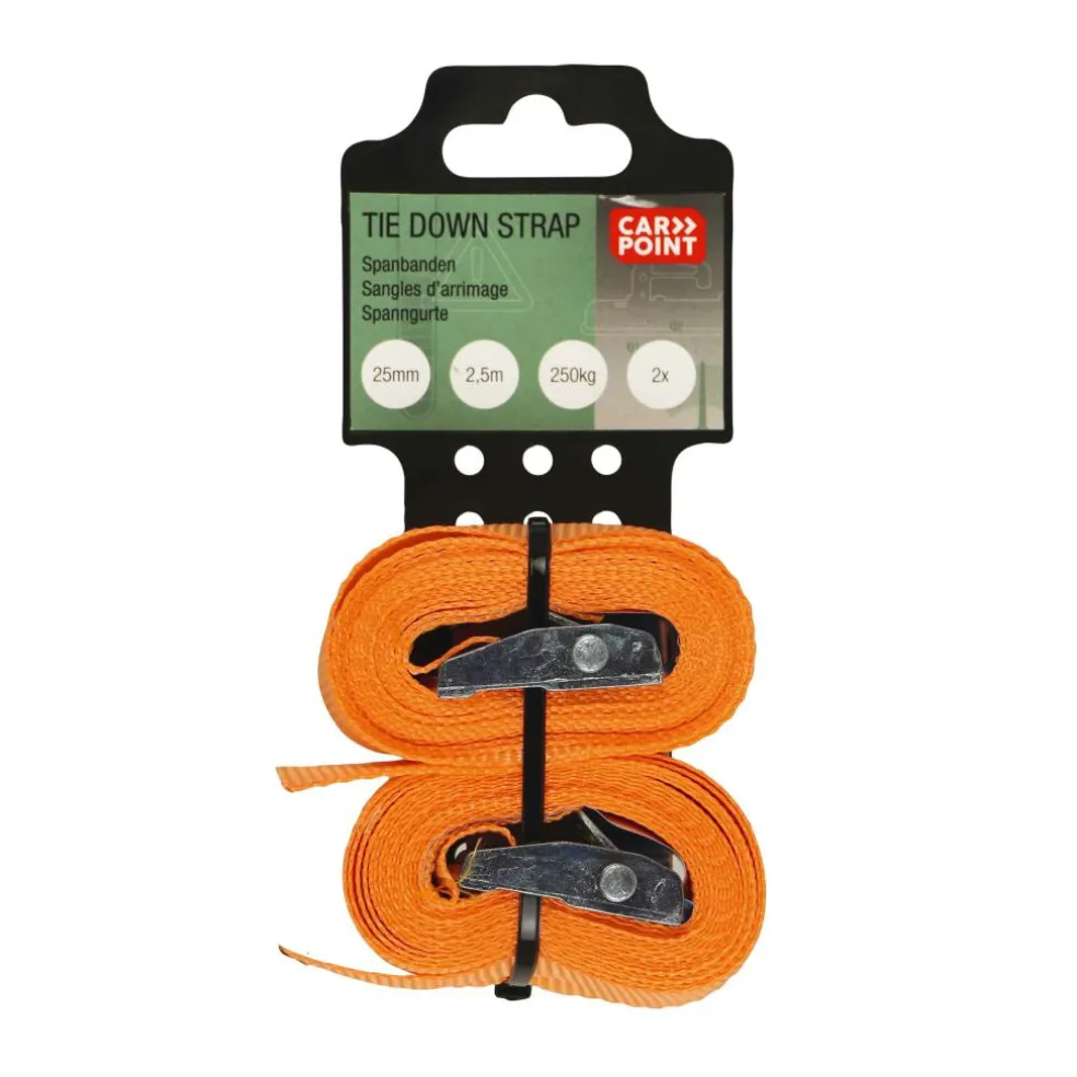 Carpoint Spanbanden 2,5 meter