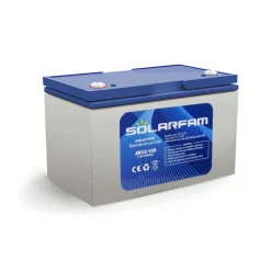 DWS AGM 12V-100Ah accu