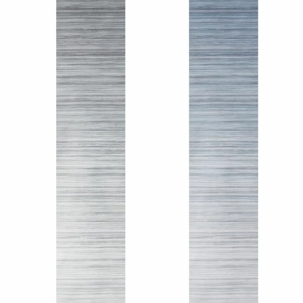 Fiamma F45 S 260 cassetteluifel titanium - Royal Grey