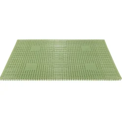 Hamat Condor deurmat 40 x 60 cm green