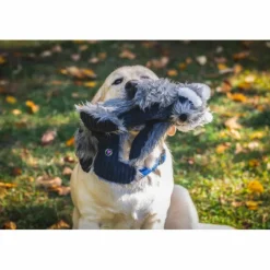 HuggleHounds X-Brace Redwood Raccoon hondenspeelgoed