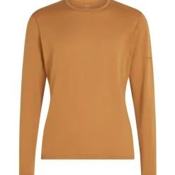 Icebreaker M 260 Tech LS thermoshirt heren trail