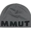 Mammut Logo muts steel-black