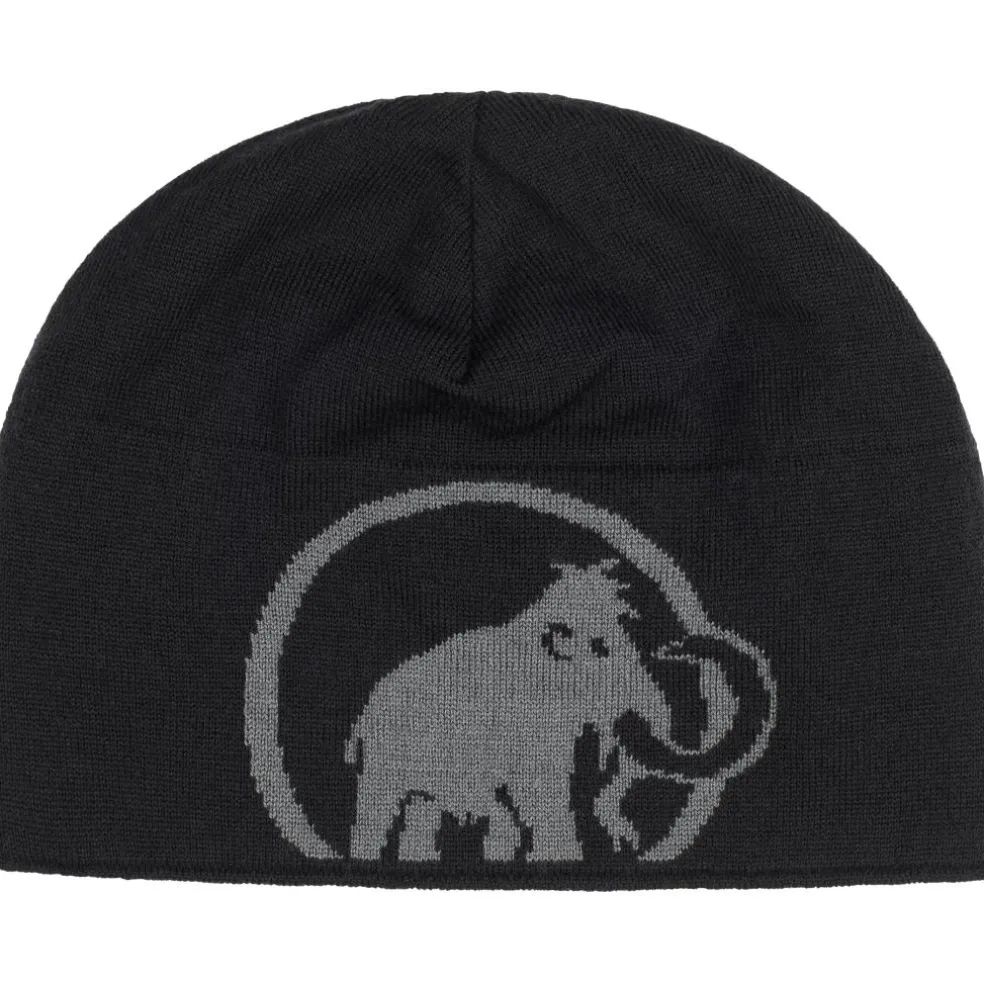 Mammut Logo muts steel-black