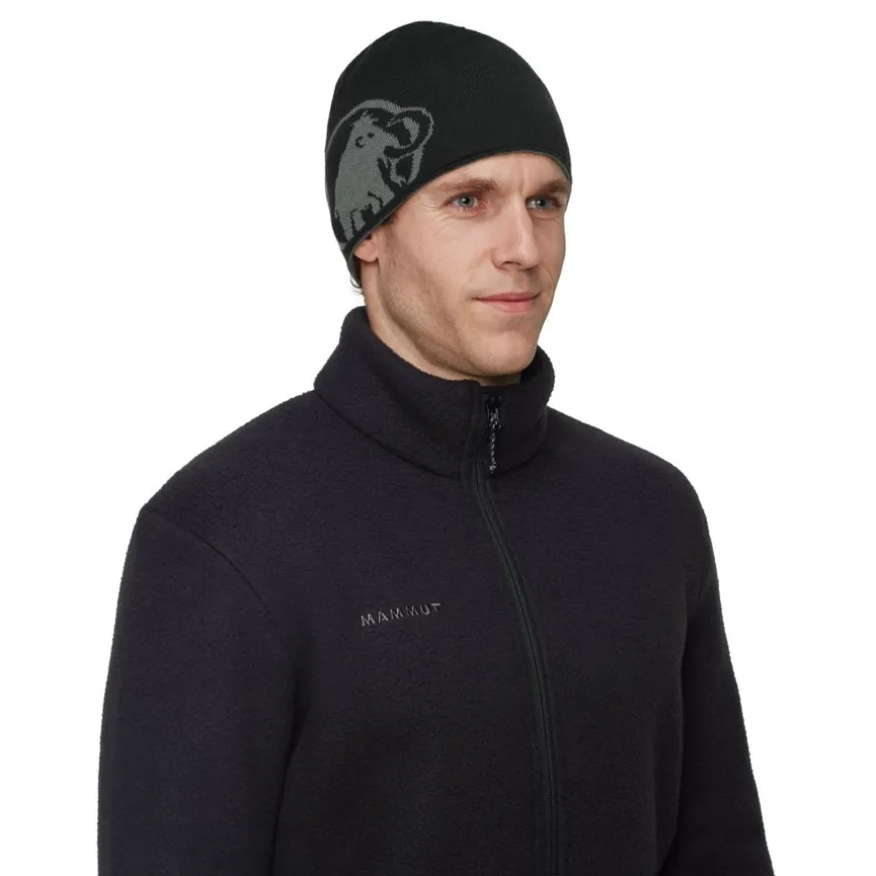 Mammut Logo muts steel-black