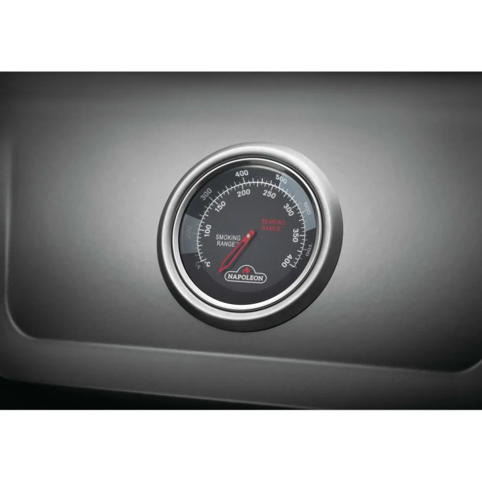 Napoleon Freestyle 365 SB buitenkeuken graphite