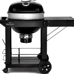 Napoleon PRO22 mobiele houtskoolbarbecue 57 cm black