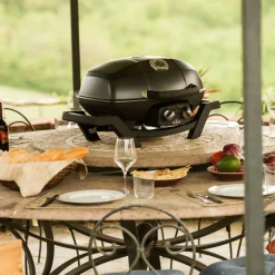 Napoleon TravelQ PRO285 gasbarbecue black