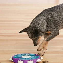 Nina Ottosson Dog Twister hondenspeelgoed