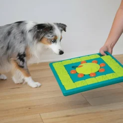 Nina Ottosson Multipuzzle hondenspeelgoed