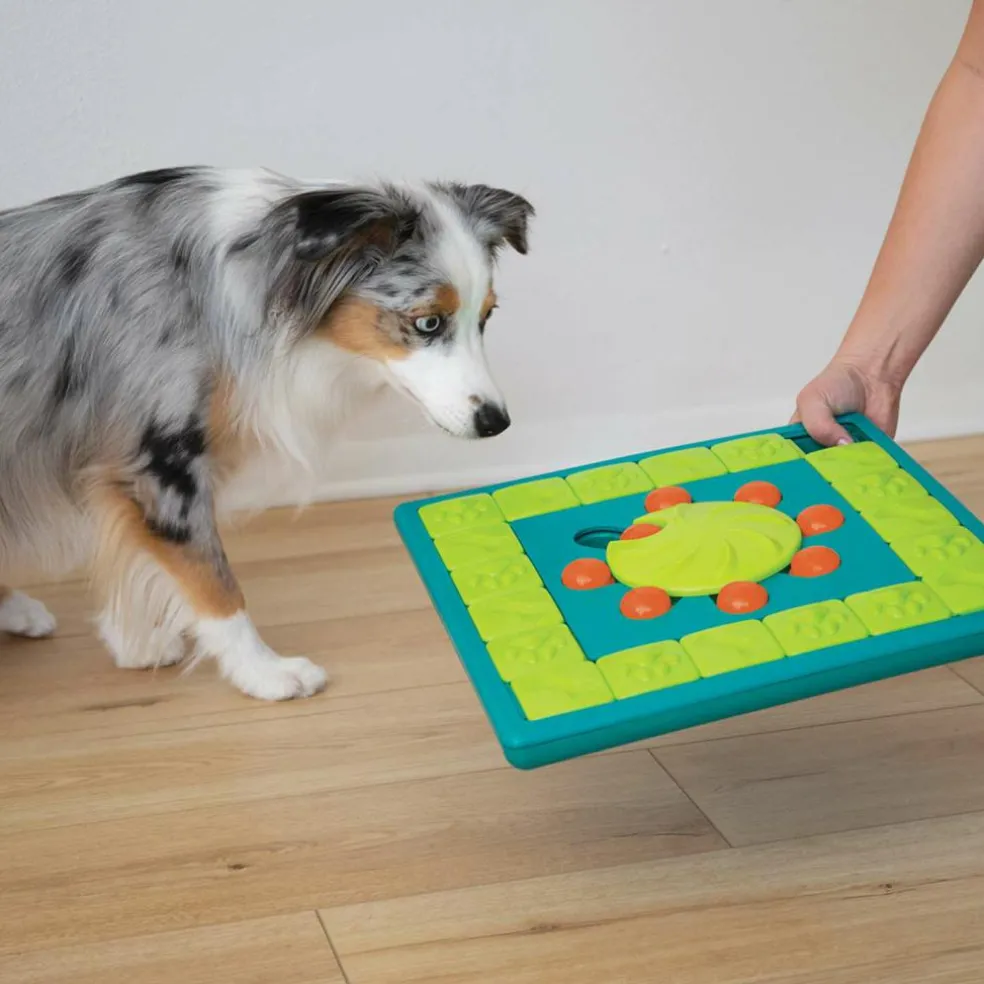 Nina Ottosson Multipuzzle hondenspeelgoed