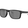 Oakley Holbrook XXL zonnebril prizm black matte black