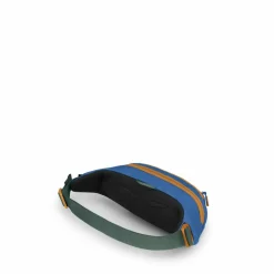Osprey Daylite Waist heuptas earth dark charcoal blue fam