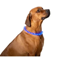 Pet Comfort  LED hondenhalsband 2 kleuren assorti