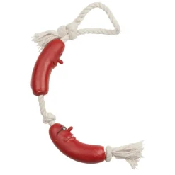 Pet Toys  Worst hondenspeelgoed