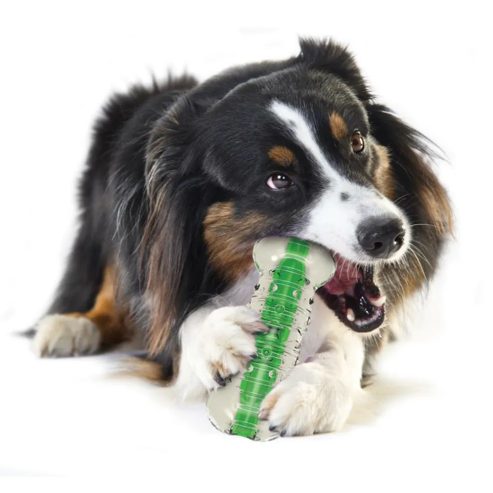 Petstages Crunchcore hondenspeelgoed L