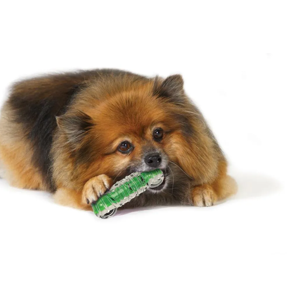 Petstages Crunchcore hondenspeelgoed S