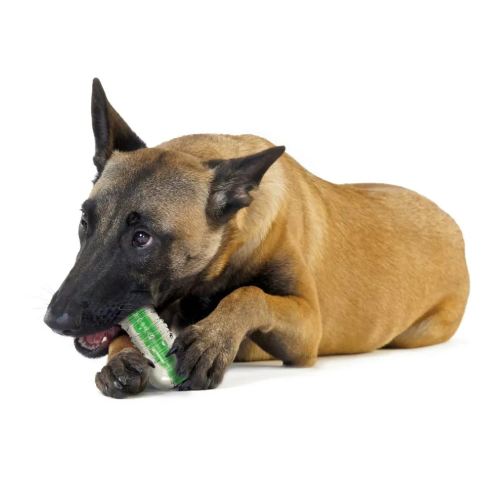 Petstages Crunchcore hondenspeelgoed M