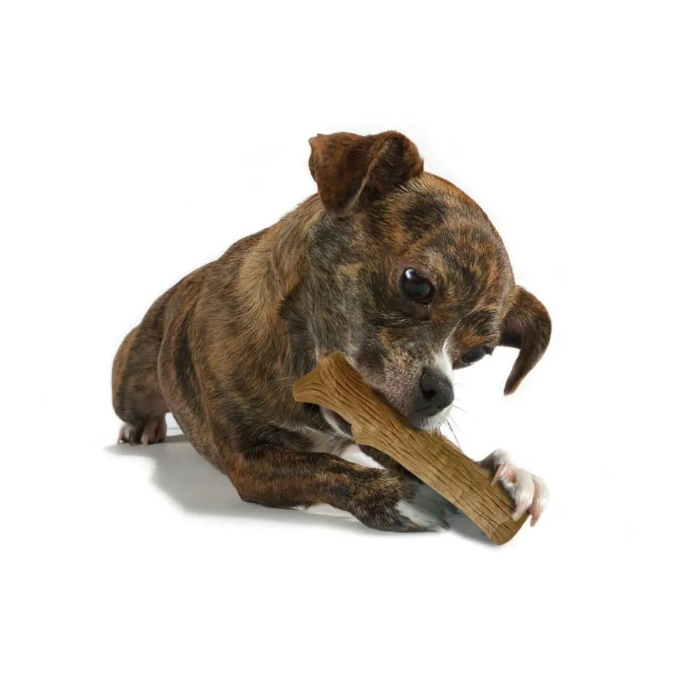 Petstages Dogwood Stick hondenspeelgoed XS