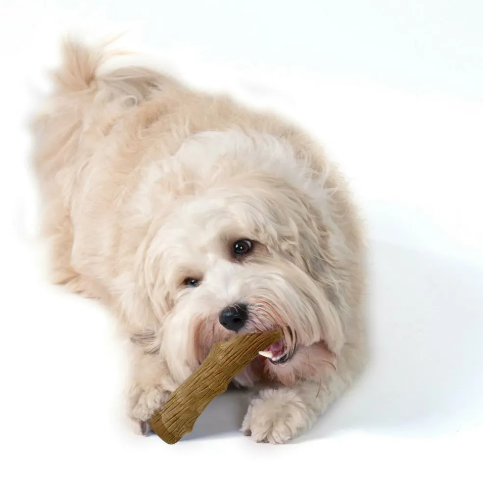 Petstages Dogwood Stick hondenspeelgoed S