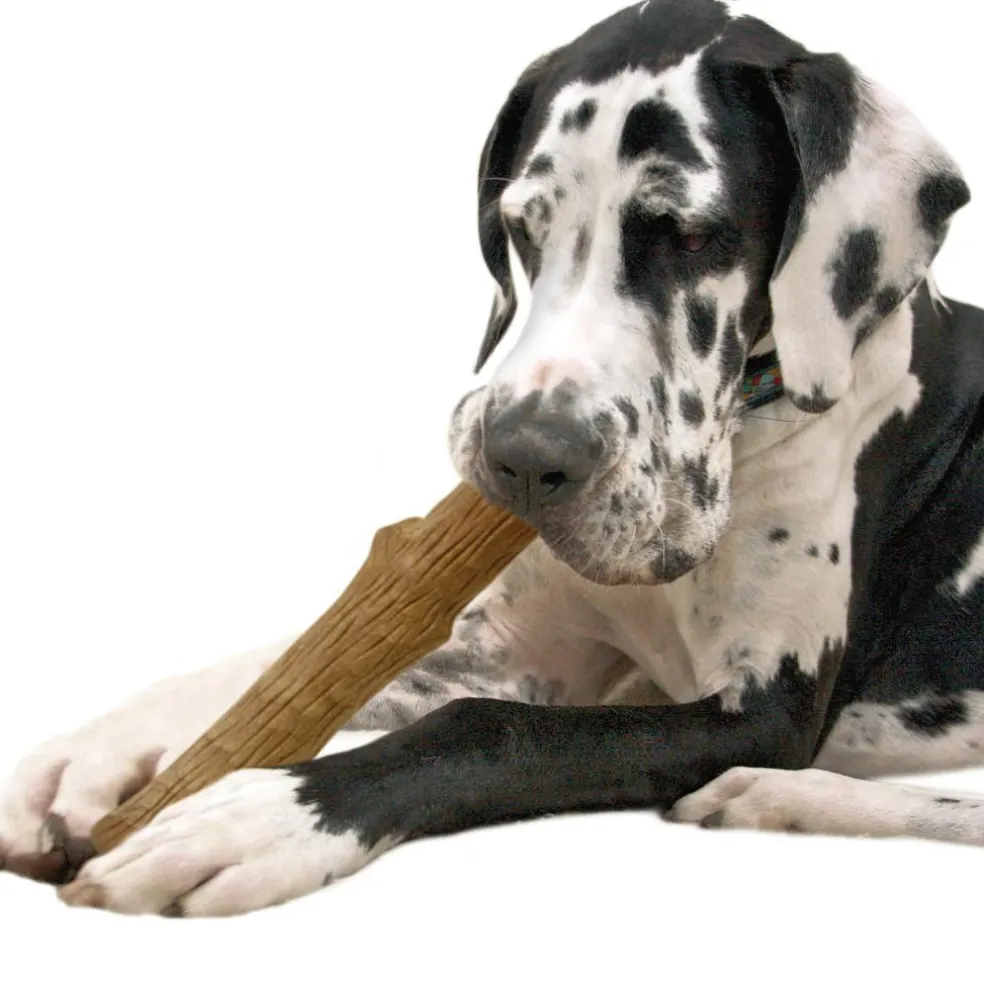 Petstages Dogwood stick hondenspeelgoed M