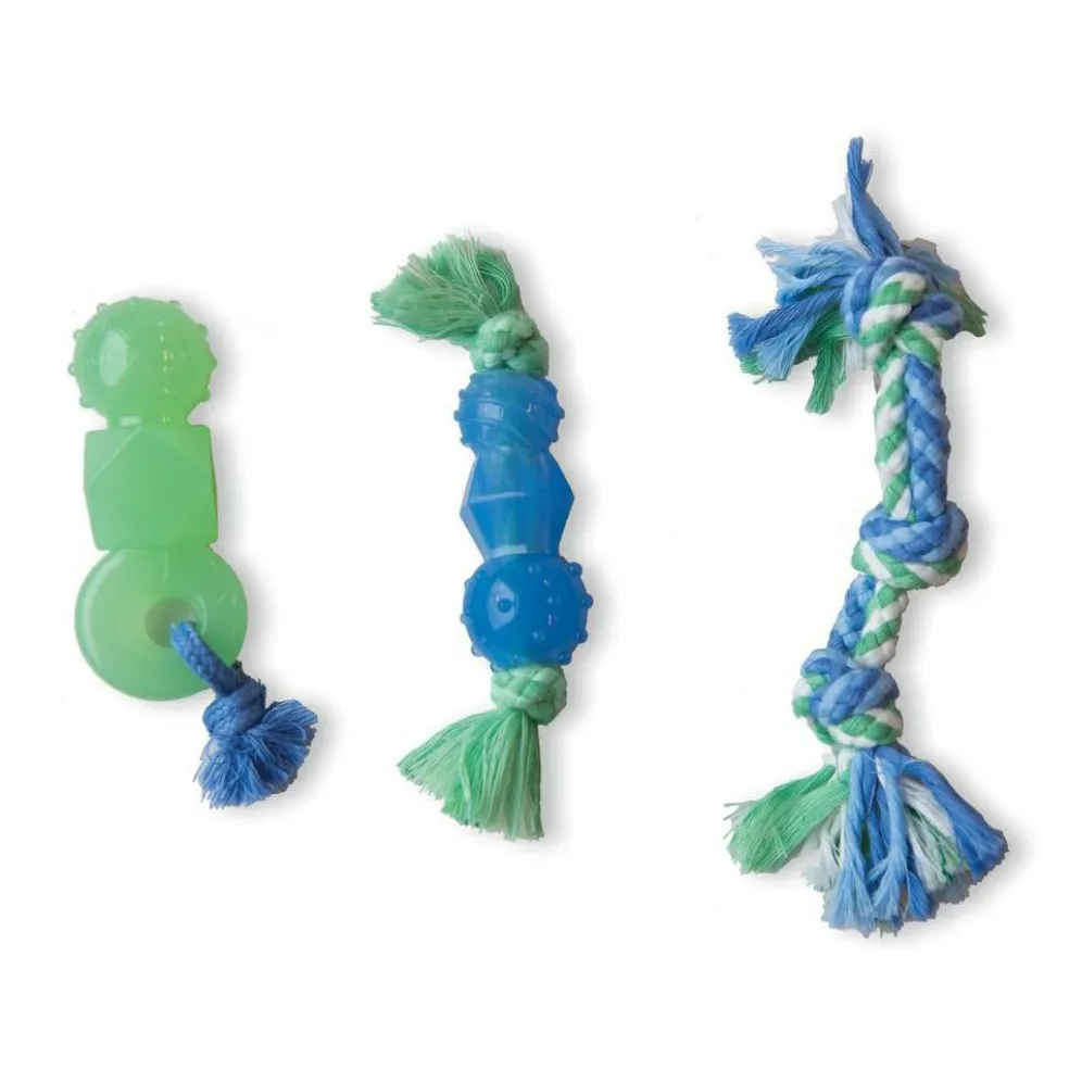 Petstages Orka Mini Dentachew Pack hondenspeelgoed