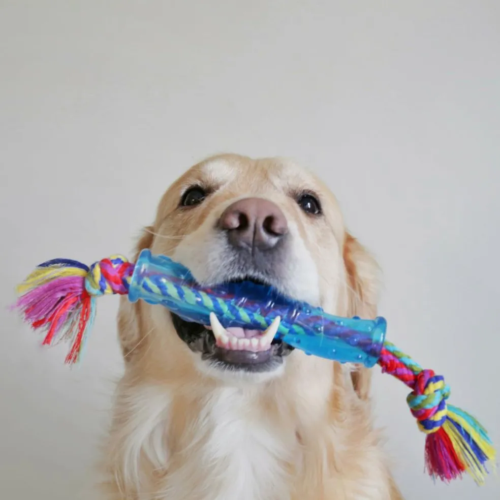 Petstages Orka Stick hondenspeelgoed