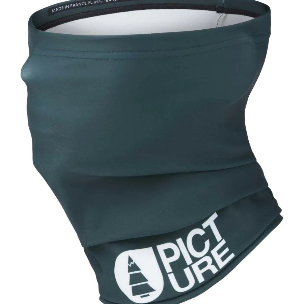 Picture col ponderosa pine