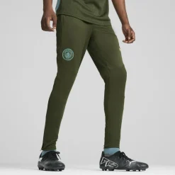 Puma Manchester City trainingsbroek heren myrtle bold blue