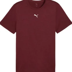 Puma TAD ESSENTIALS shirt heren ruby shimmer heather
