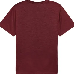 Puma TAD ESSENTIALS shirt heren ruby shimmer heather