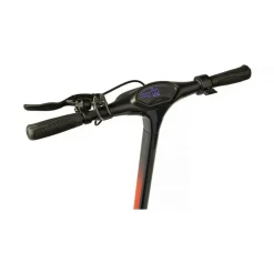 Red Bull Racing  Race All 10 elektrische step