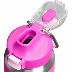 Stanley PMI  Classic Wellspring Bottle thermosfles 710 ml violet blossom