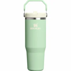 Stanley PMI Iceflow Flip Straw Tumbler thermosbeker 890 ml pistachio