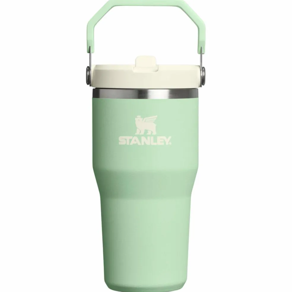 Stanley PMI Iceflow Flip Straw Tumbler thermosbeker 590 ml pistachio