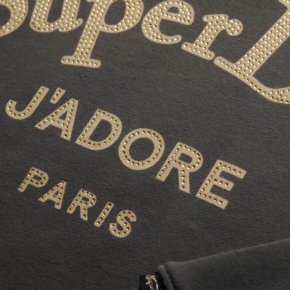 Superdry Brand Mark sweater dames vintage black