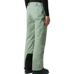 The North Face  Chakal skibroek heren slate moss