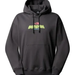 The North Face Expedition Celebration Oversized hoodie anthracite grey
