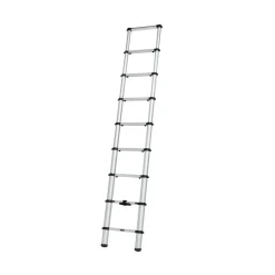 Thule Ladder Van trap