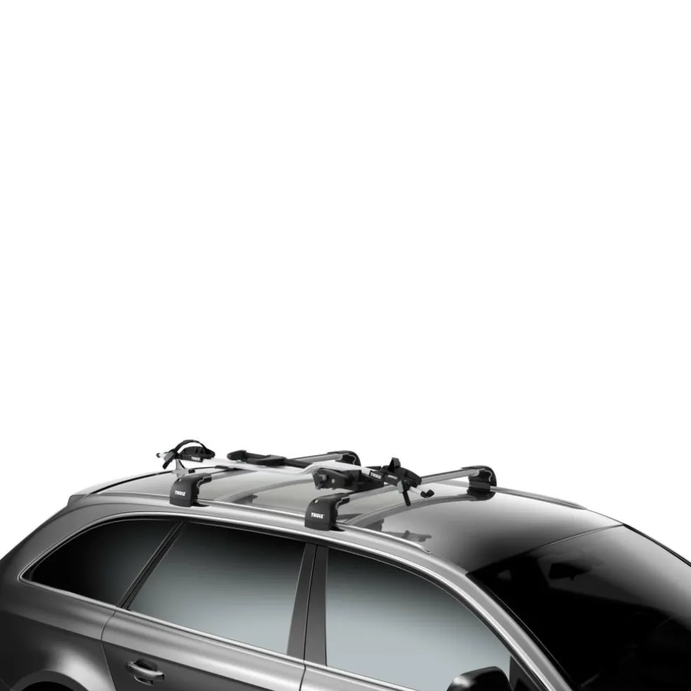 Thule ProRide 598 fietsendrager silver