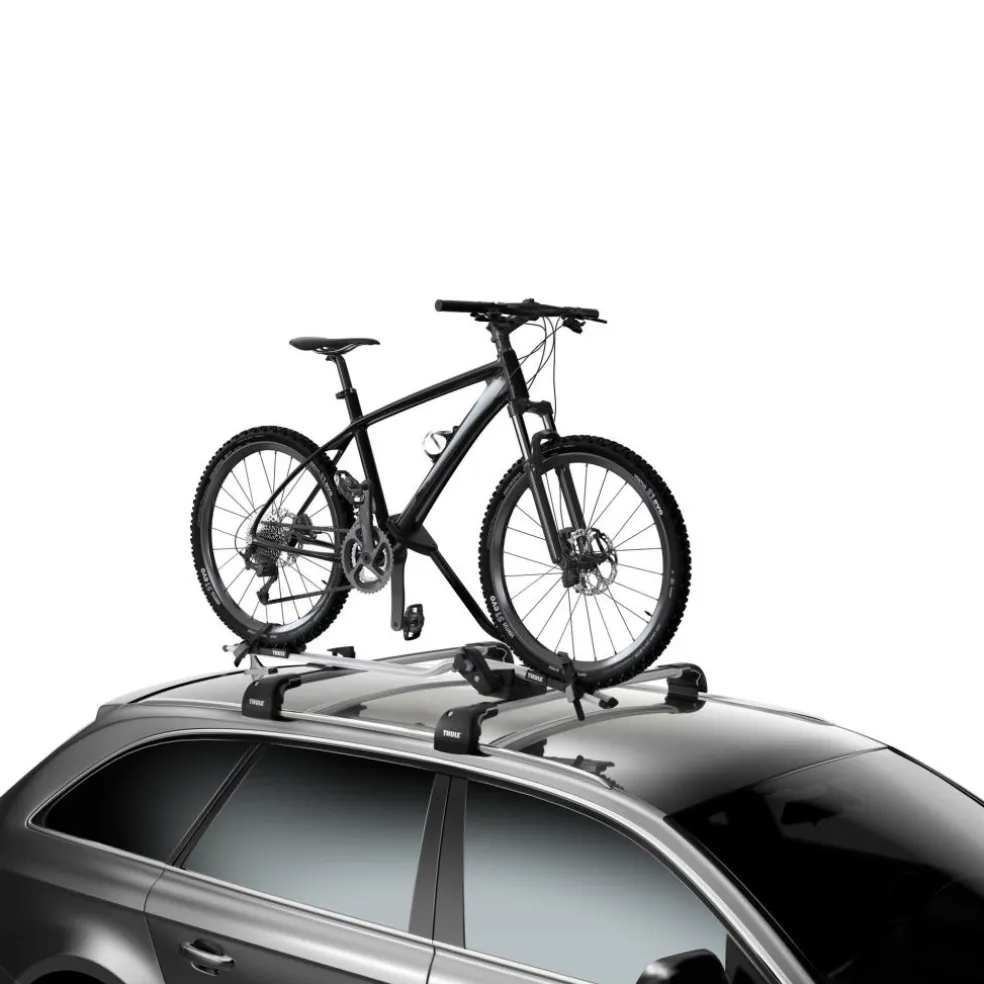 Thule ProRide 598 fietsendrager silver